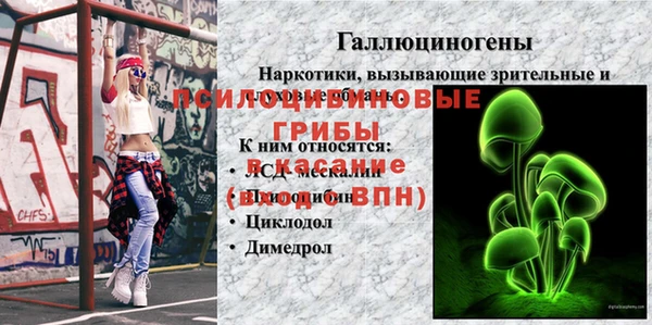 амф Горно-Алтайск