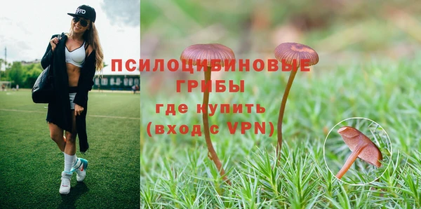 мяу мяу мука Абдулино