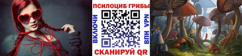 omg зеркало  Касли  Псилоцибиновые грибы Psilocybe 